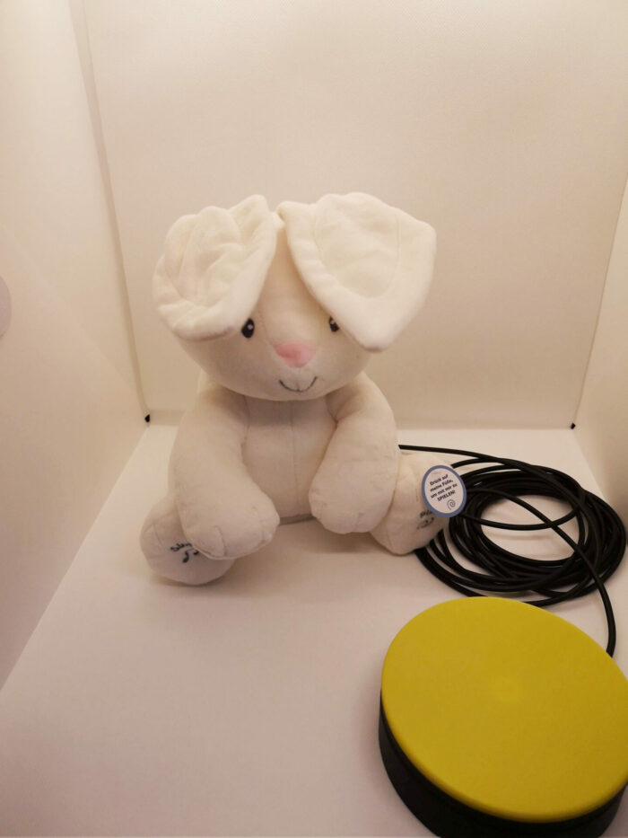 Flora, der kleine Hase - adaptiert – Bild 2