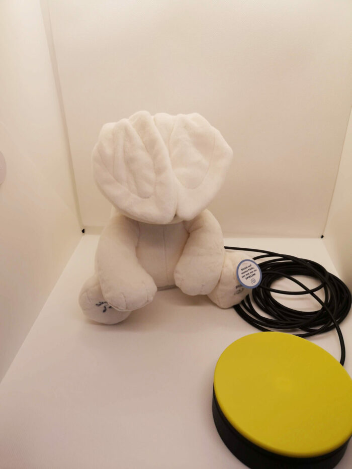Flora, der kleine Hase - adaptiert – Bild 3
