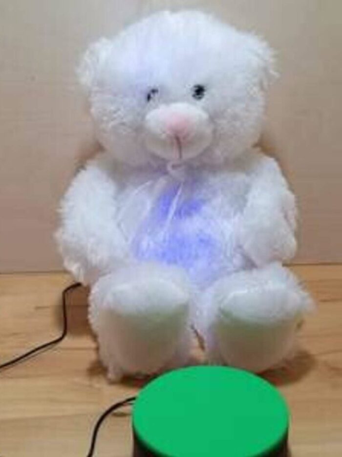 Teddy weiß - adaptiert – Bild 2
